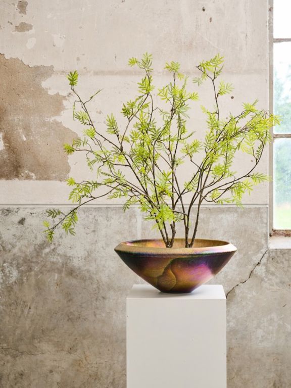 MIMOSA BUSH GROEN 110 cm