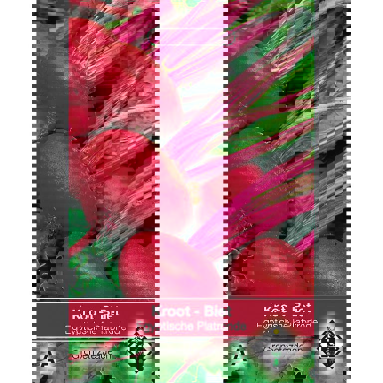 A- Biet - Kroot Egyptische Platronde