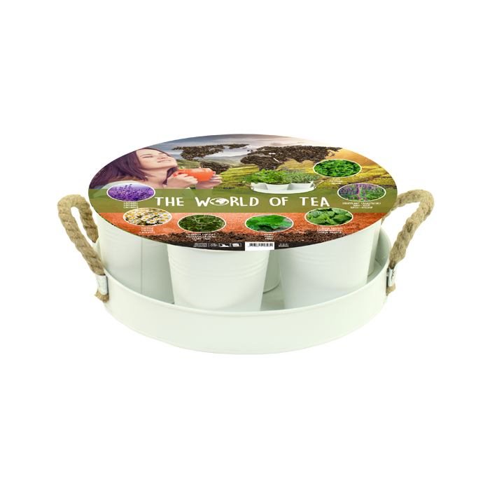 Herb Festival - 7 World of Tea (Wit)