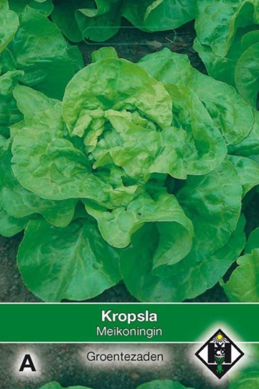 A- Kropsla Meikoningin