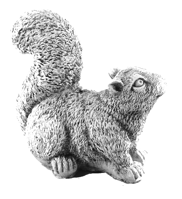 Eekhoorn