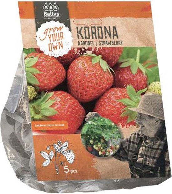 Aardbei Korona per 5