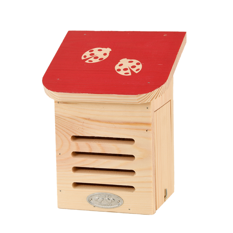 Diapositief lieveheersbeestjeshuis