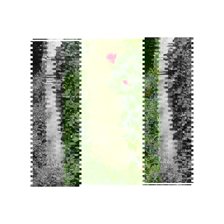 Sokkel Modern Romantisch, gegoten steen