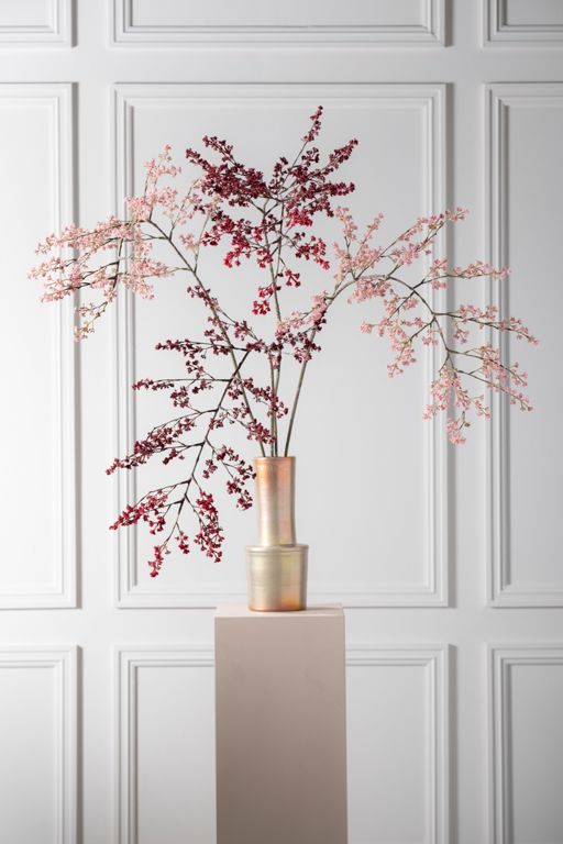 BESSENTAK ROOD 154 cm