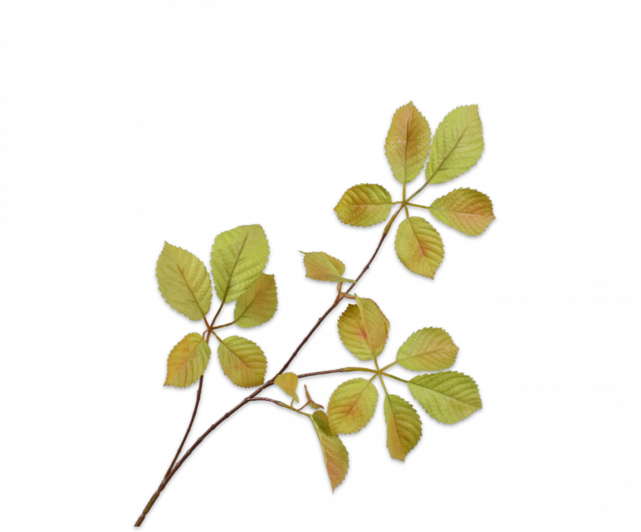 BLADTAK  GRN/BRN 74 cm