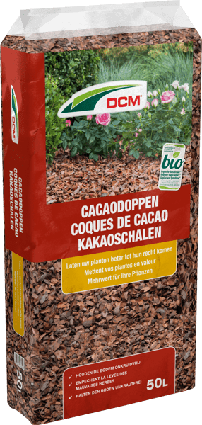 DCM Cacaodoppen
