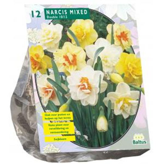 Narcis Dubbel Mix per 15