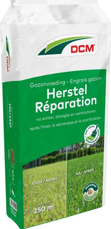 DCM Gazonvoeding Herstel 250 m² (10 kg)