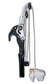 Silky Sintung snoeischaar voor Hayauchi