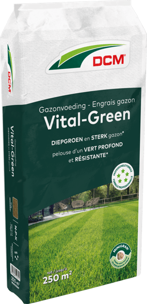DCM Gazonvoeding Vital-Green 250 m² (10