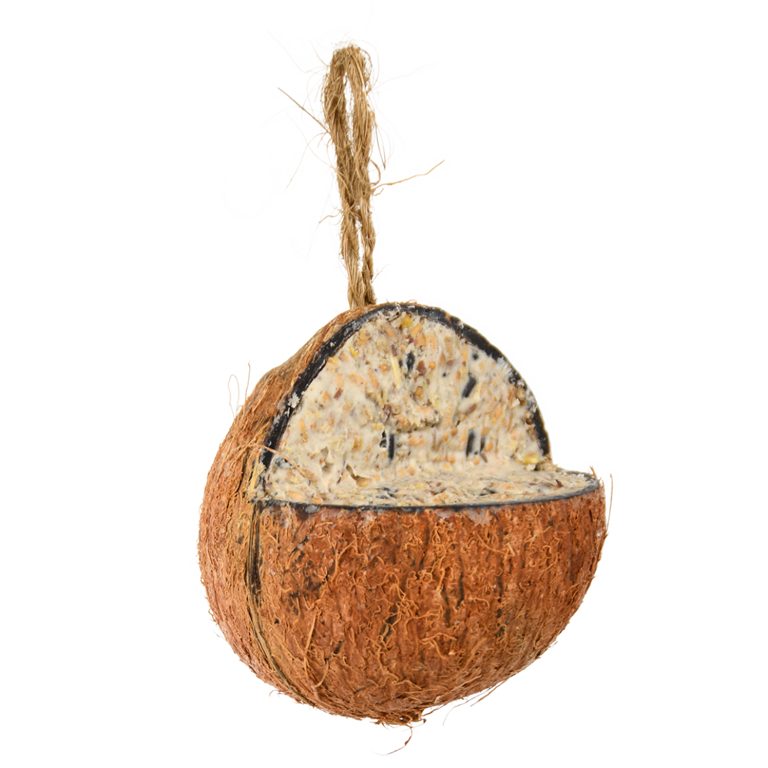 Gevulde kokosnoot 3/4 aan touw