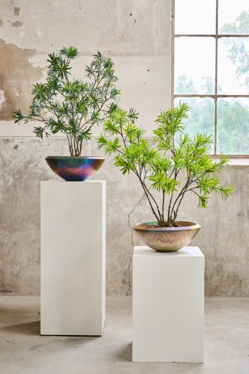 BLADTAK PODOCARPUS GROEN 89 cm