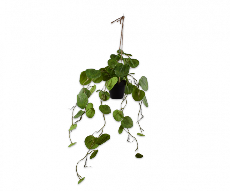 PHILODENDRON HANG GROEN 91 cm