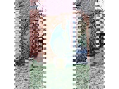 Winterafdekhoes met rits Ã˜250 x 300cm 70