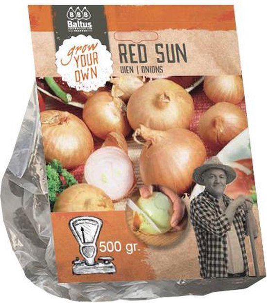 Uien Red Sun (per 500 gram)