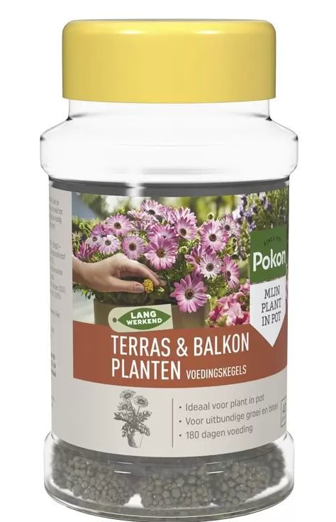 Pokon Langwerk Voedingskegels 40 st terr