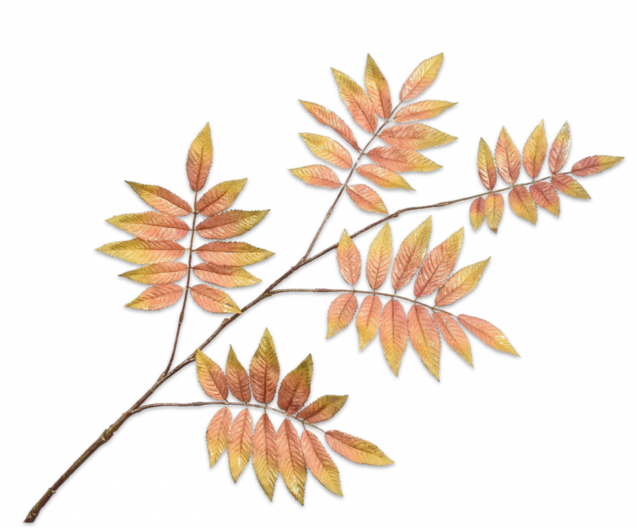 BLADTAK BRN/GRN 127 cm