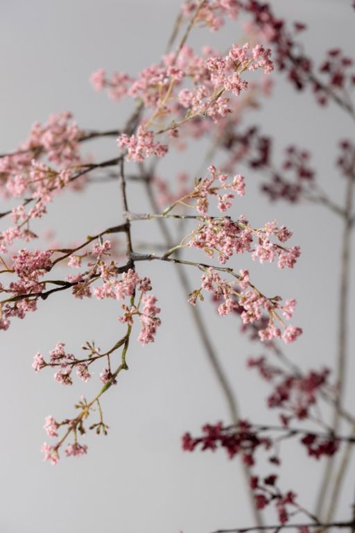 BESSENTAK ROZE 154 cm