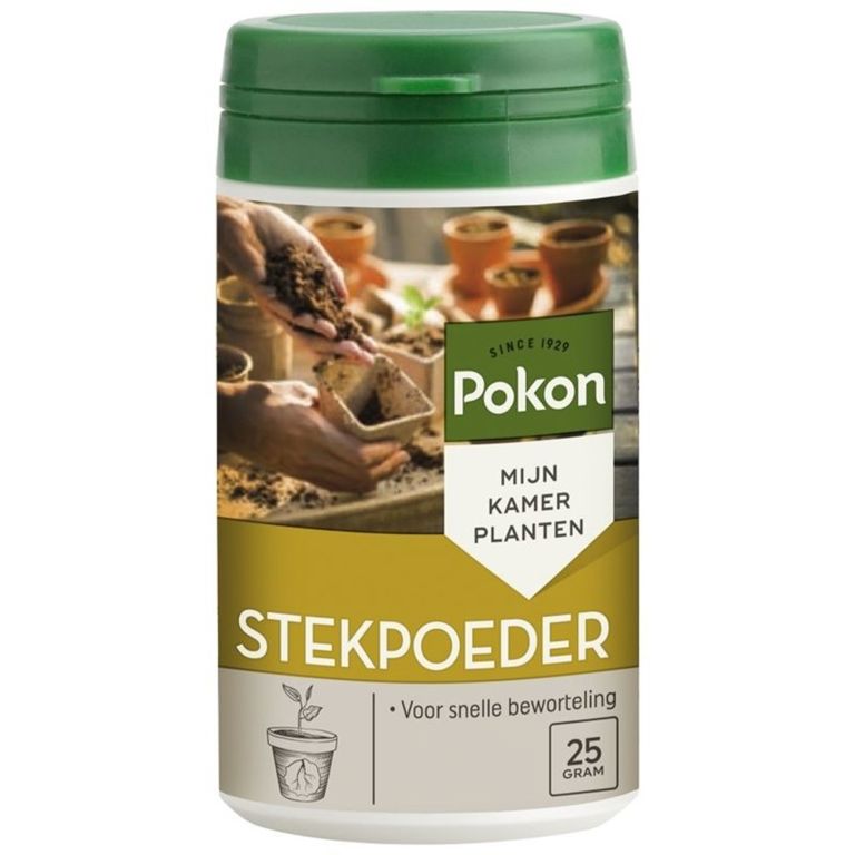 Pokon Stekpoeder 25 gr
