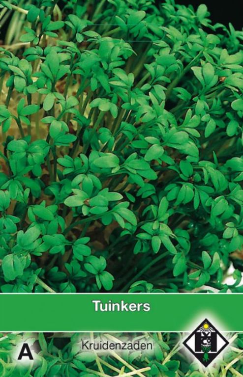 A- Tuinkers / Lepidium