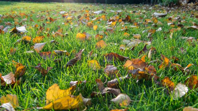 herfst-najaar_800x450