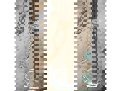 Natuurraffia 150gram