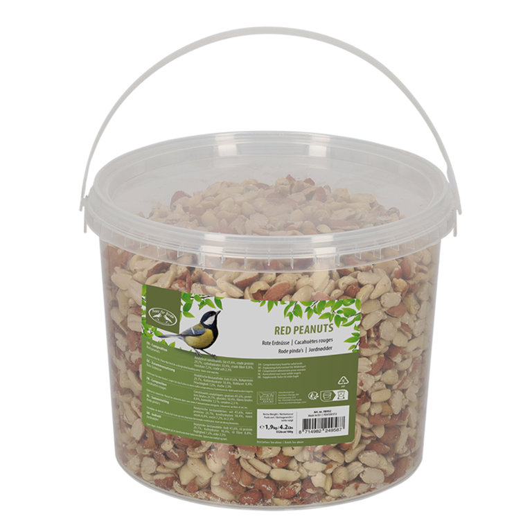 Rode pinda's 1,9 kg in emmer