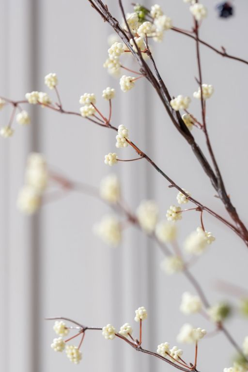 BESSENTAK CREME 137 cm