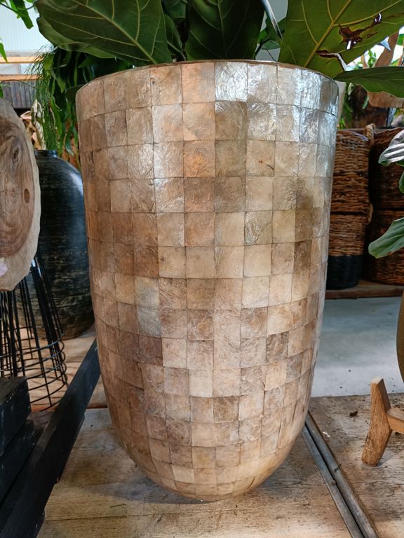 Pot - Shell (gold) (80)