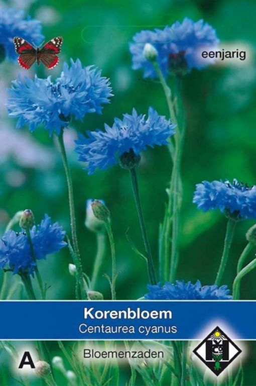 A- Centaurea cyanus enkele blauw