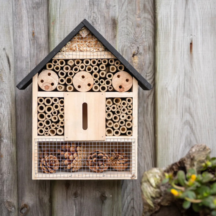 Basic insectenhotel L