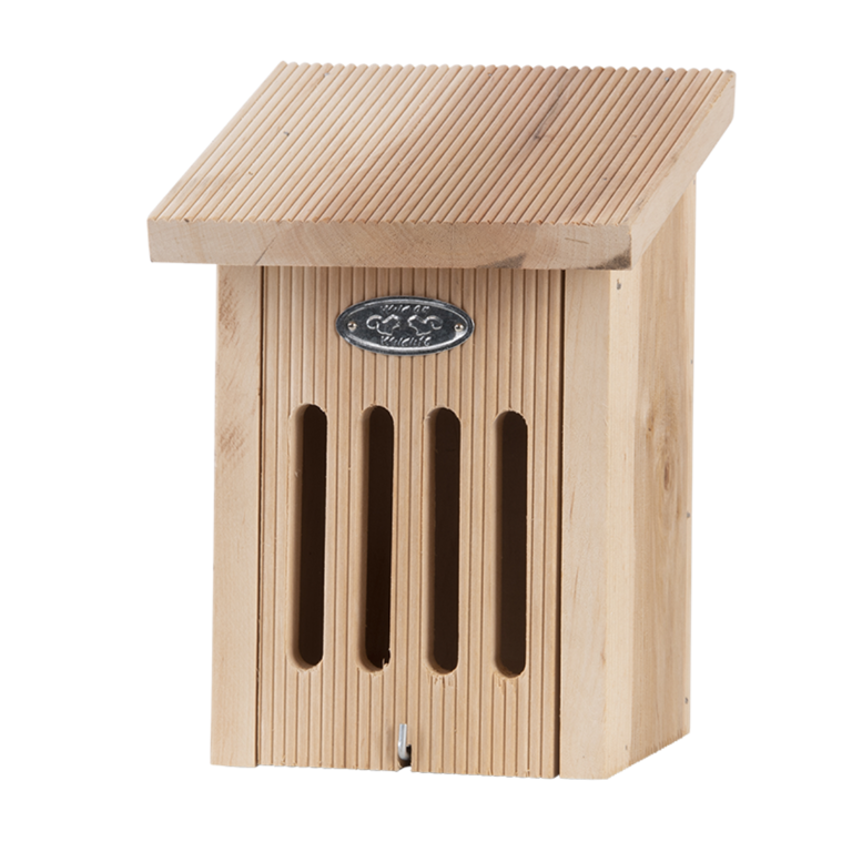 Vlinderkast in cadeaudoos