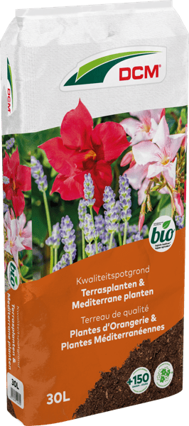 DCM Potgrond Terrasplanten & Mediterrane planten