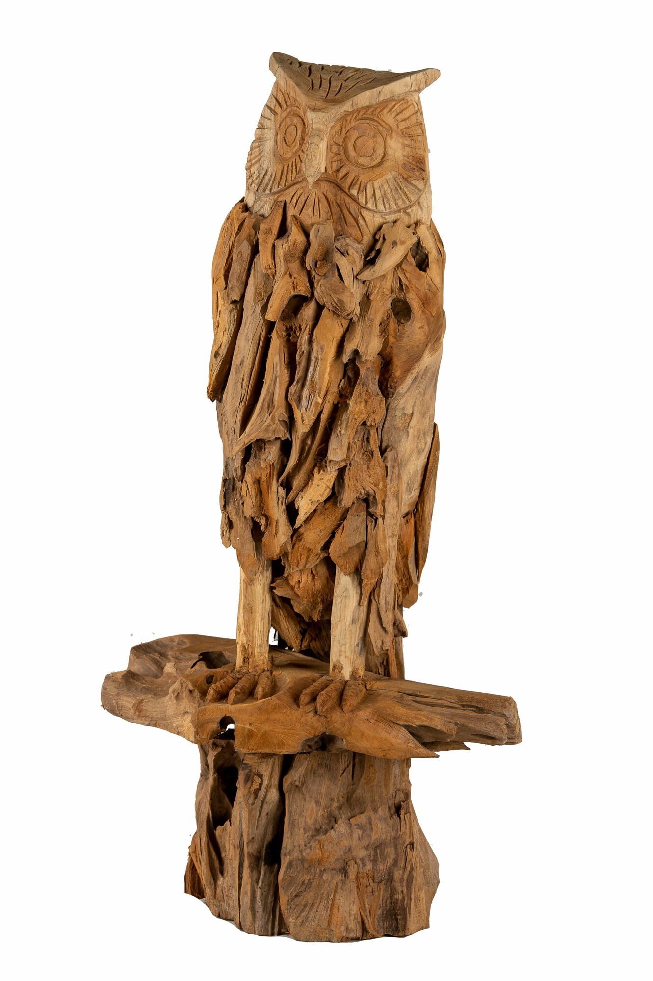 Animal - Owl jono on root (100)