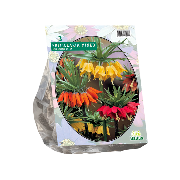 Fritillaria imperialis mixed per 3