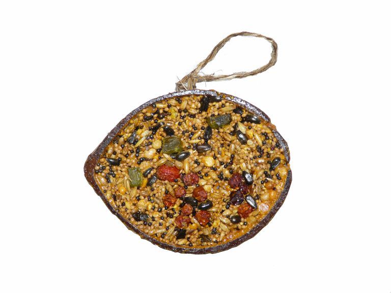 Cocosnoot + zaden + fruit