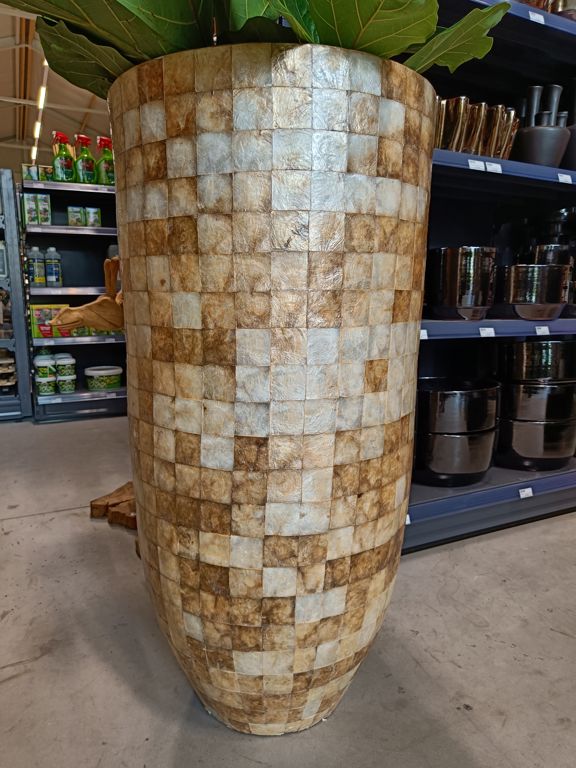 Pot - Shell (gold) (110)